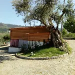 Lantgård Quinta Souto Chao Gondufe