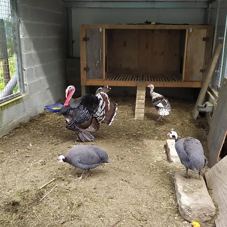 Farmház Quinta Souto Chao *