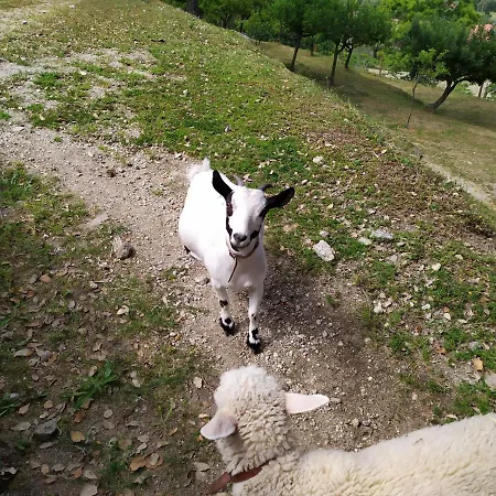 Farmház Quinta Souto Chao Gondufe