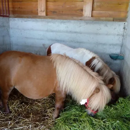 Farmház Quinta Souto Chao *