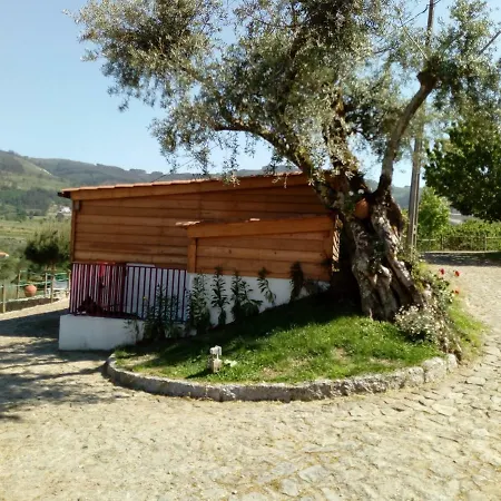 팜스테이 Quinta Souto Chao Gondufe