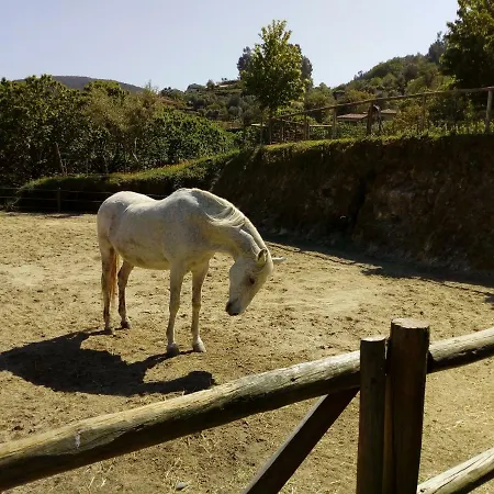 Quinta Souto Chao Farmház Gondufe