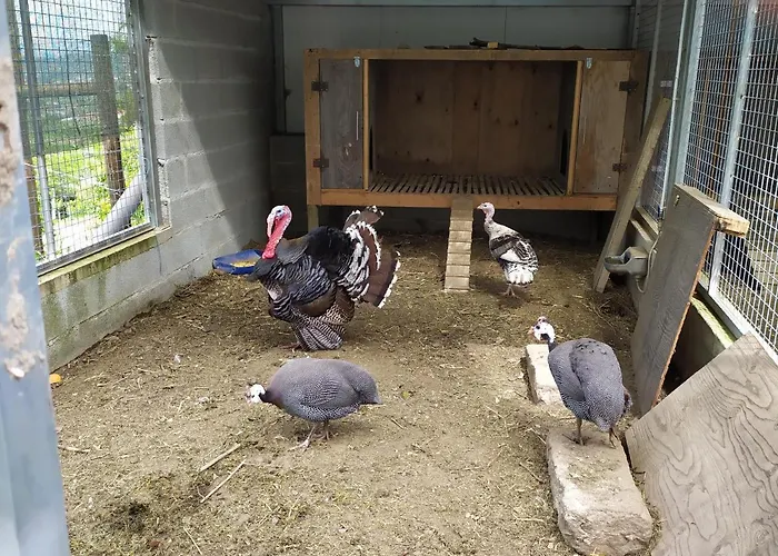 Çiftlik konaklama Quinta Souto Chao *