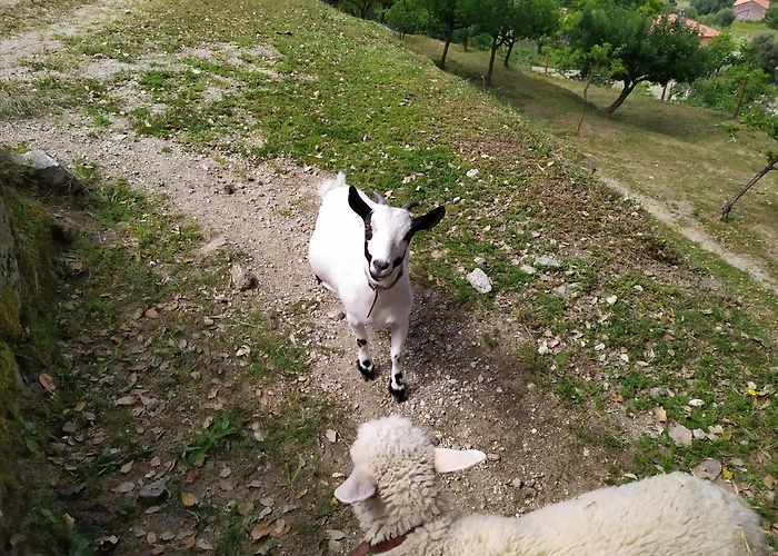 בית חווה Quinta Souto Chao Gondufe