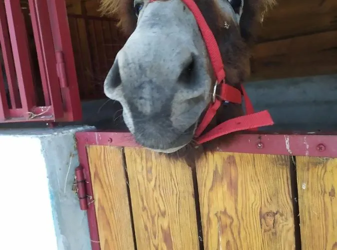 Quinta Souto Chao בית חווה Gondufe