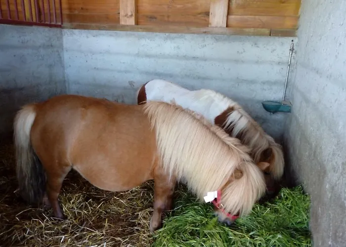 בית חווה Quinta Souto Chao *