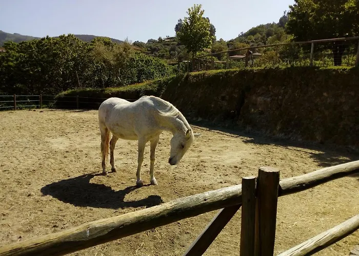 Quinta Souto Chao Çiftlik konaklama Gondufe